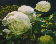 Garden Whites  9.5x11.5  Watercolor