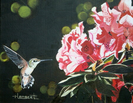Hummingbird -  8X10  - Oil Painting